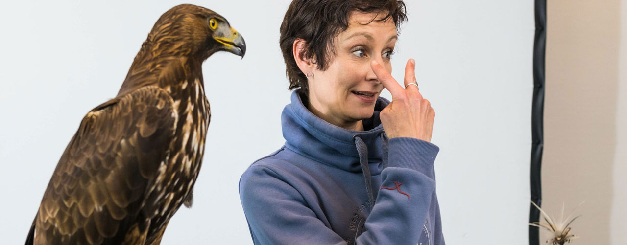 Auf Augenhöhe mit Adler, Falke, Eule und Bussard